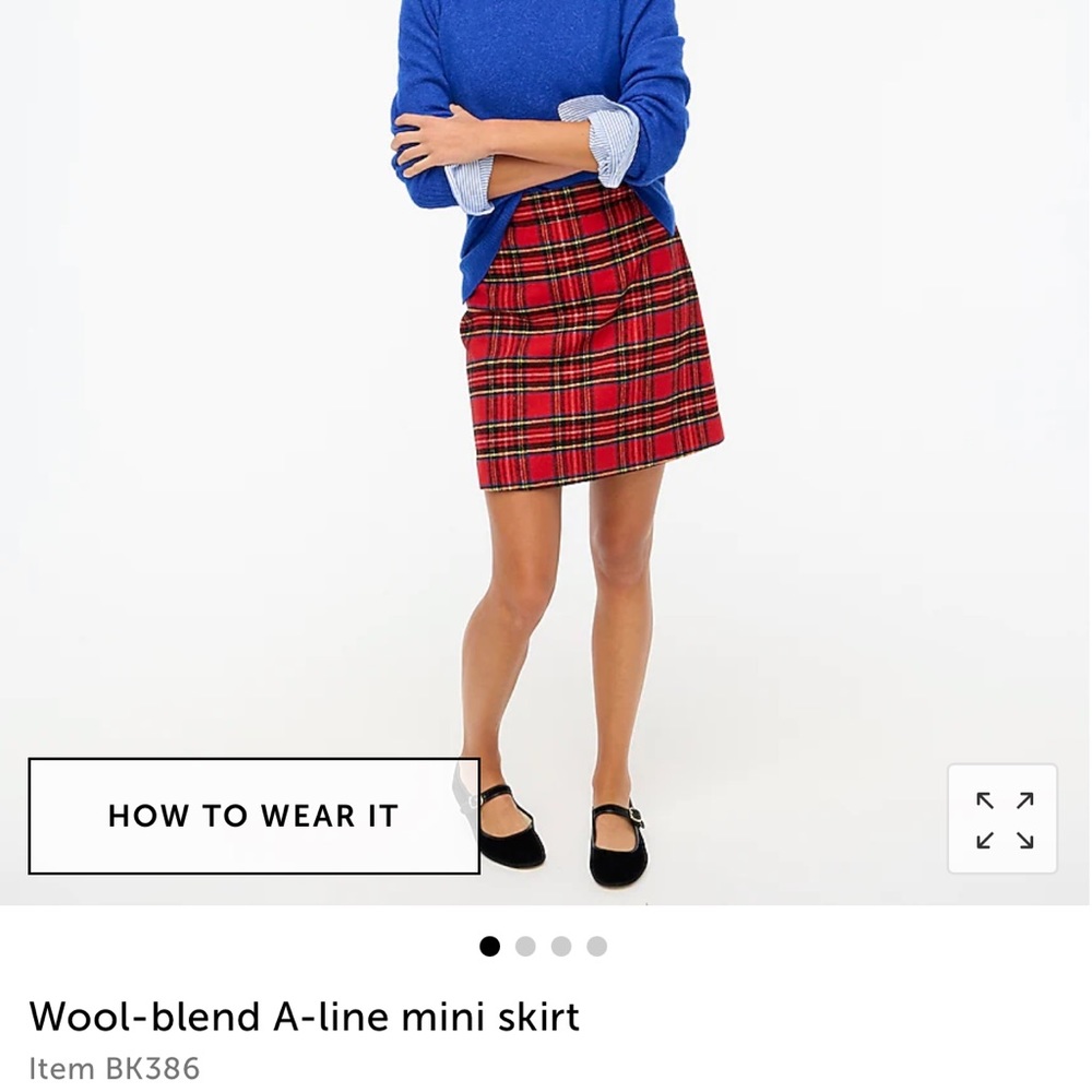 NWOT J. Crew Skirt